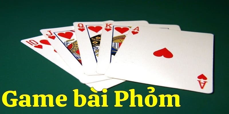 bai-phom-la-gi-1