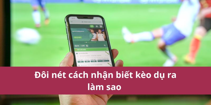 Đôi nét cách nhận biết kèo dụ ra làm sao 