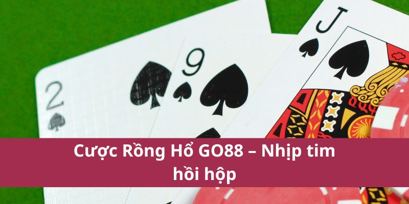 Cách Chơi Rồng Hổ Go88 – Đơn Giản, Dễ Trúng Thưởng! 4 Cược Rồng Hổ GO88 – Nhịp tim hồi hộp